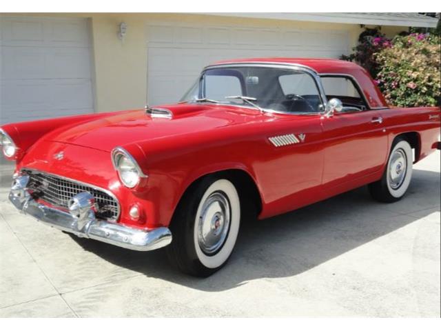 1955 Ford Convertible (CC-2082960) for sale in Sarasota, Florida