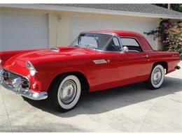 1955 Ford Convertible (CC-2082960) for sale in Sarasota, Florida