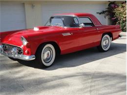 1955 Ford Convertible (CC-2082960) for sale in Sarasota, Florida