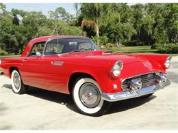 1955 Ford Convertible (CC-2082960) for sale in Sarasota, Florida