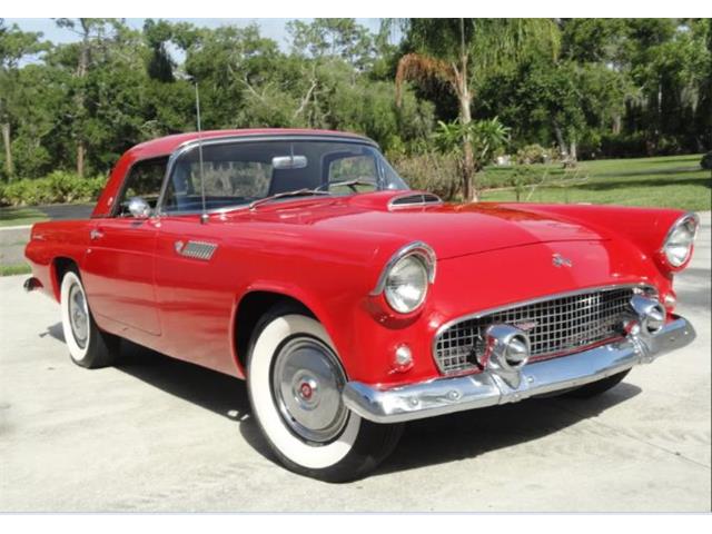 1955 Ford Convertible (CC-2082960) for sale in Sarasota, Florida