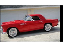 1955 Ford Convertible (CC-2082960) for sale in Sarasota, Florida