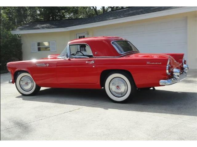 1955 Ford Convertible (CC-2082960) for sale in Sarasota, Florida