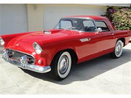 1955 Ford Convertible (CC-2082960) for sale in Sarasota, Florida