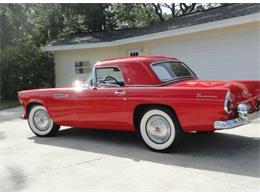 1955 Ford Convertible (CC-2082960) for sale in Sarasota, Florida