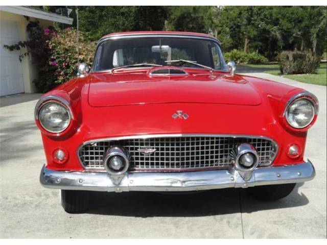 1955 Ford Convertible (CC-2082960) for sale in Sarasota, Florida