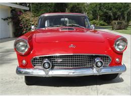 1955 Ford Convertible (CC-2082960) for sale in Sarasota, Florida