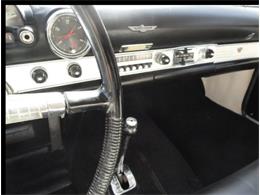 1955 Ford Convertible (CC-2082960) for sale in Sarasota, Florida