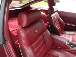 1985 Nissan 300ZX (CC-2082983) for sale in Sarasota, Florida