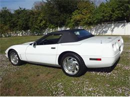1994 Chevrolet Convertible (CC-2082985) for sale in Sarasota, Florida