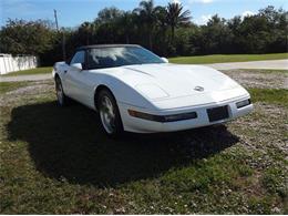 1994 Chevrolet Convertible (CC-2082985) for sale in Sarasota, Florida