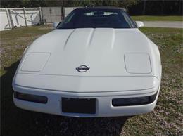 1994 Chevrolet Convertible (CC-2082985) for sale in Sarasota, Florida