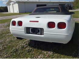 1994 Chevrolet Convertible (CC-2082985) for sale in Sarasota, Florida