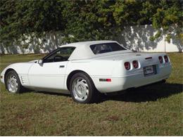 1992 Chevrolet Convertible (CC-2082988) for sale in Sarasota, Florida