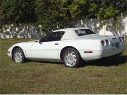 1992 Chevrolet Convertible (CC-2082988) for sale in Sarasota, Florida
