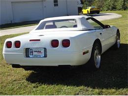 1992 Chevrolet Convertible (CC-2082988) for sale in Sarasota, Florida