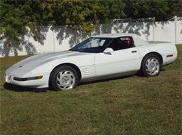 1992 Chevrolet Convertible (CC-2082988) for sale in Sarasota, Florida