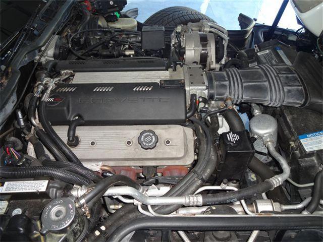 1992 Chevrolet Convertible (CC-2082988) for sale in Sarasota, Florida