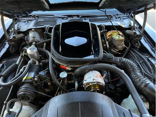 1977 Pontiac Firebird Trans Am SE (CC-2083077) for sale in Lincoln, Nebraska