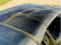 1977 Pontiac Firebird Trans Am SE (CC-2083077) for sale in Lincoln, Nebraska