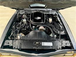 1977 Pontiac Firebird Trans Am SE (CC-2083077) for sale in Lincoln, Nebraska