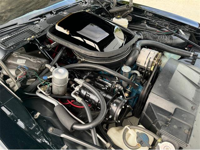 1977 Pontiac Firebird Trans Am SE (CC-2083077) for sale in Lincoln, Nebraska
