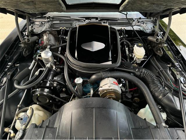 1977 Pontiac Firebird Trans Am SE (CC-2083077) for sale in Lincoln, Nebraska