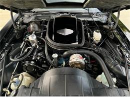 1977 Pontiac Firebird Trans Am SE (CC-2083077) for sale in Lincoln, Nebraska