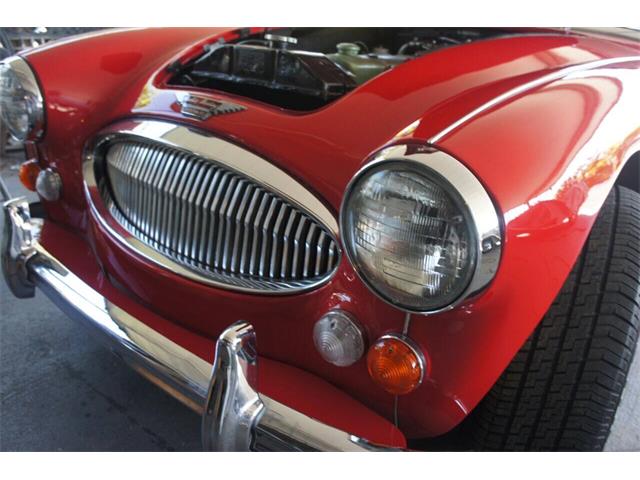 1967 Austin-Healey 3000 (CC-2083163) for sale in Lantana, Florida