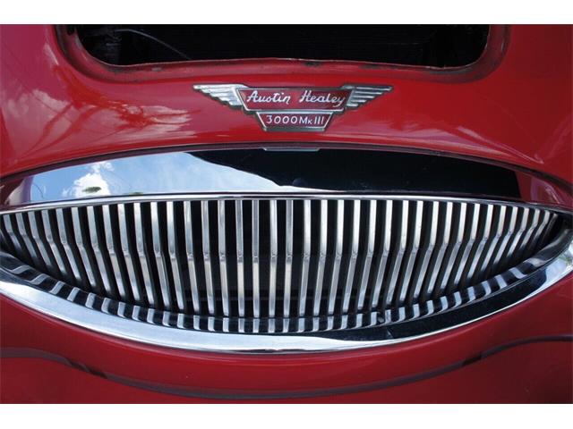1967 Austin-Healey 3000 (CC-2083163) for sale in Lantana, Florida