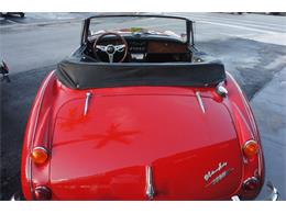 1967 Austin-Healey 3000 (CC-2083163) for sale in Lantana, Florida