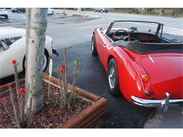 1967 Austin-Healey 3000 (CC-2083163) for sale in Lantana, Florida