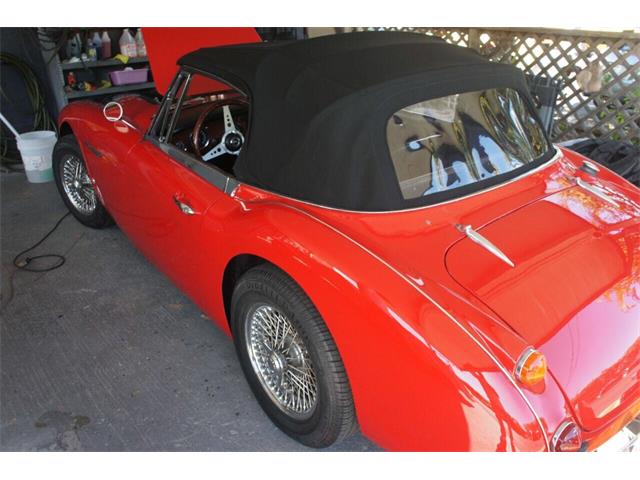 1967 Austin-Healey 3000 (CC-2083163) for sale in Lantana, Florida