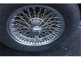 1967 Austin-Healey 3000 (CC-2083163) for sale in Lantana, Florida