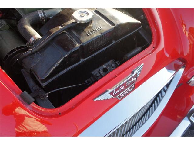1967 Austin-Healey 3000 (CC-2083163) for sale in Lantana, Florida