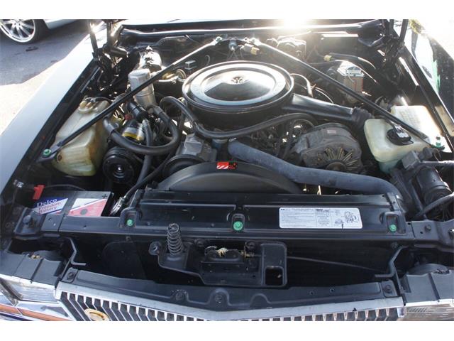 1978 Cadillac Seville (CC-2083181) for sale in Lantana, Florida