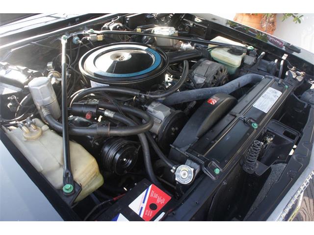 1978 Cadillac Seville (CC-2083181) for sale in Lantana, Florida