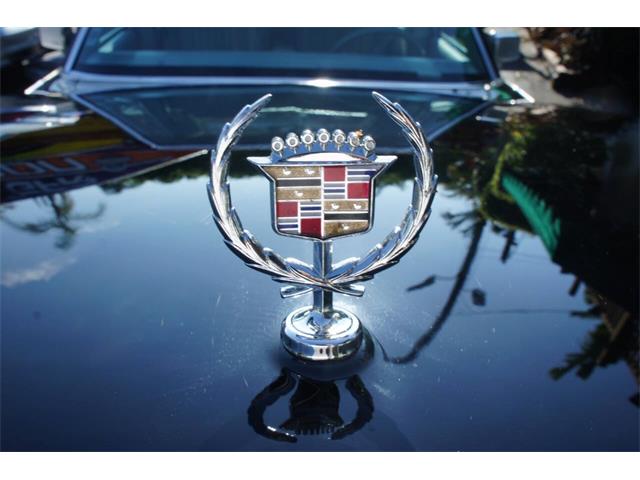 1978 Cadillac Seville (CC-2083181) for sale in Lantana, Florida