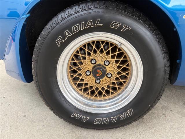 1979 Pontiac Firebird (CC-2080323) for sale in Bradenton, Florida