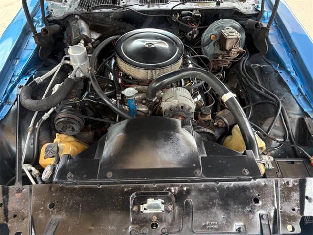 1979 Pontiac Firebird (CC-2080323) for sale in Bradenton, Florida