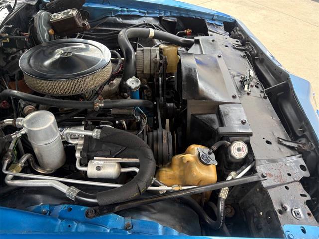 1979 Pontiac Firebird (CC-2080323) for sale in Bradenton, Florida
