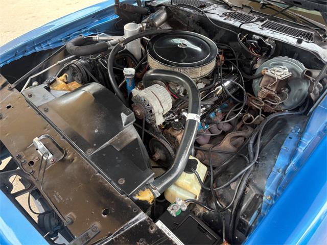 1979 Pontiac Firebird (CC-2080323) for sale in Bradenton, Florida