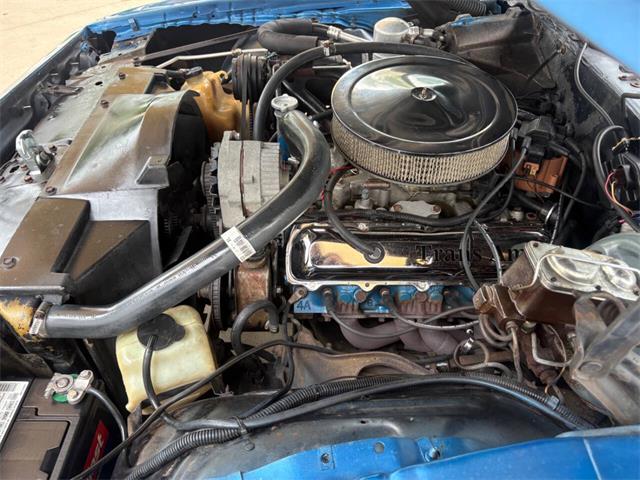 1979 Pontiac Firebird (CC-2080323) for sale in Bradenton, Florida