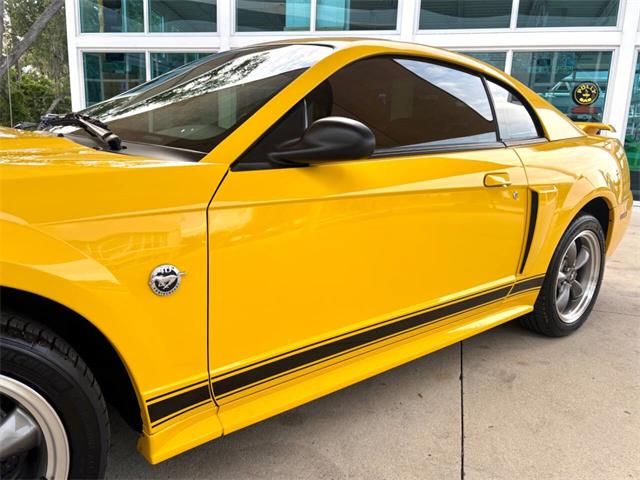 2004 Ford Mustang (CC-2080325) for sale in Bradenton, Florida