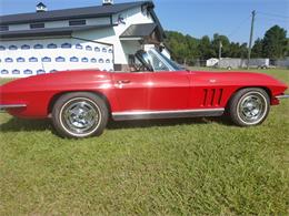 1966 Chevrolet Corvette (CC-2083258) for sale in Greenville, North Carolina