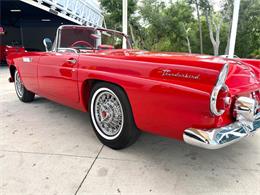1955 Ford Thunderbird (CC-2080326) for sale in Bradenton, Florida