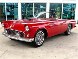 1955 Ford Thunderbird (CC-2080326) for sale in Bradenton, Florida