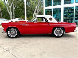 1955 Ford Thunderbird (CC-2080326) for sale in Bradenton, Florida