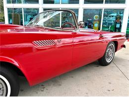 1955 Ford Thunderbird (CC-2080326) for sale in Bradenton, Florida
