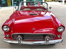 1955 Ford Thunderbird (CC-2080326) for sale in Bradenton, Florida
